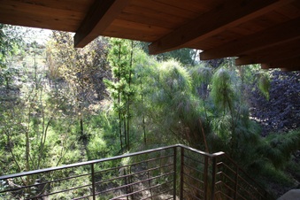 Enlarge photo 52