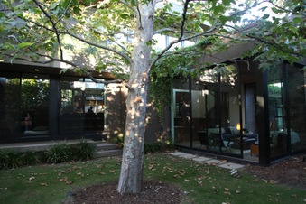 Enlarge photo 39