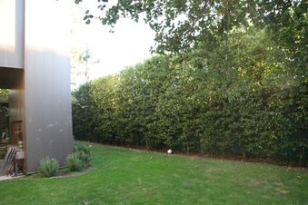 Enlarge photo 44