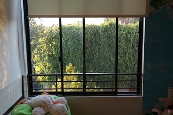 Enlarge photo 67