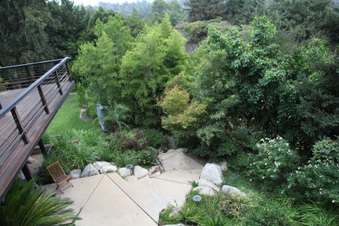Enlarge photo 43