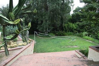 Enlarge photo 57