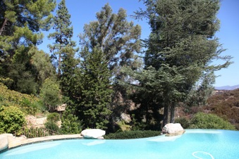 Enlarge photo 35