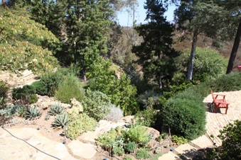 Enlarge photo 38