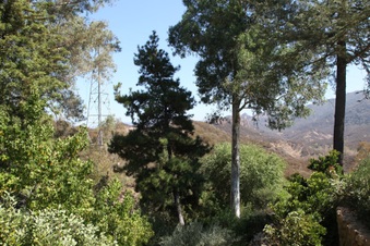 Enlarge photo 41