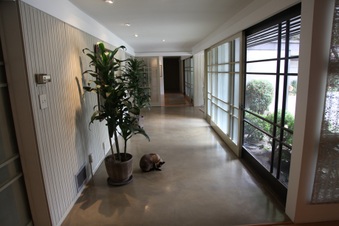 Enlarge photo 30