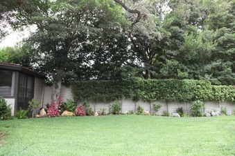Enlarge photo 44