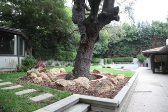 Enlarge photo 45
