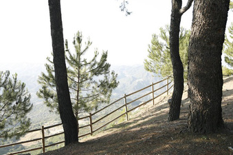 Enlarge photo 56