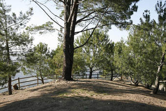 Enlarge photo 57