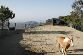 Enlarge photo 58