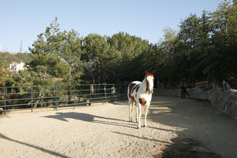Enlarge photo 59