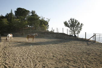 Enlarge photo 60