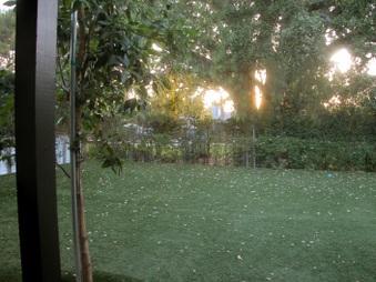 Enlarge photo 26