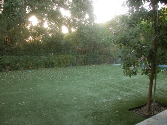 Enlarge photo 27