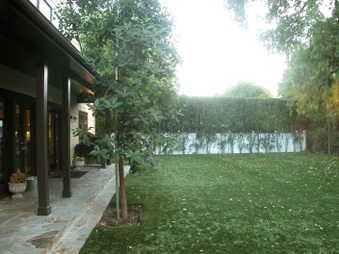 Enlarge photo 29