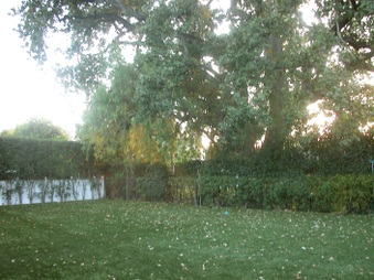 Enlarge photo 30