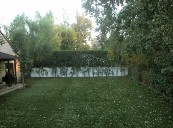 Enlarge photo 32