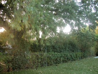 Enlarge photo 34
