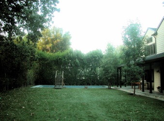 Enlarge photo 35