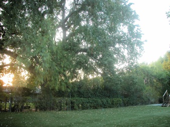 Enlarge photo 36