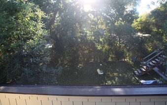 Enlarge photo 48