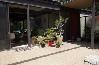 Enlarge photo 54