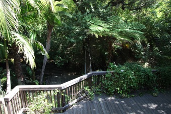Enlarge photo 69