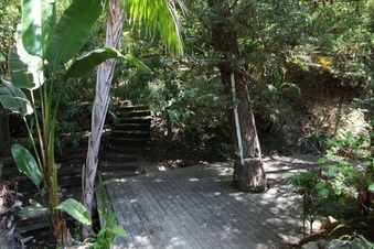 Enlarge photo 72