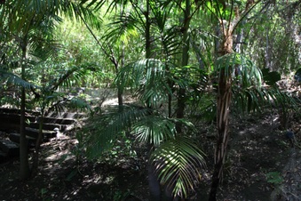 Enlarge photo 75