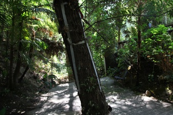 Enlarge photo 76