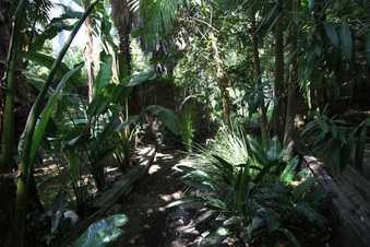 Enlarge photo 77
