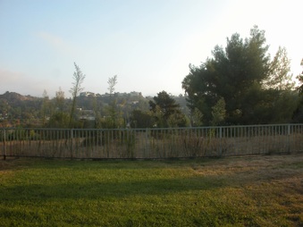 Enlarge photo 42