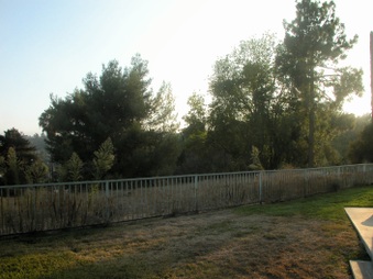 Enlarge photo 43