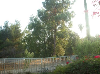 Enlarge photo 47