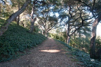 Enlarge photo 14