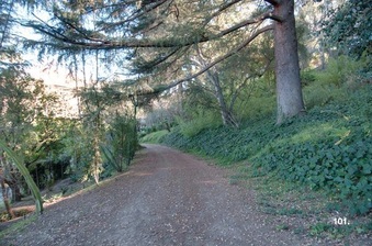 Enlarge photo 18