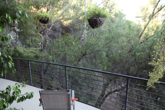 Enlarge photo 38