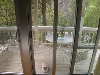 Enlarge photo 32