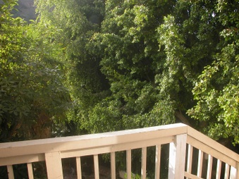 Enlarge photo 36