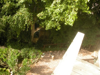 Enlarge photo 37