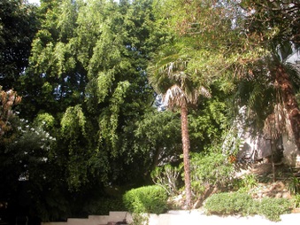 Enlarge photo 43