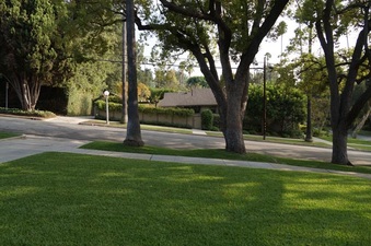 Enlarge photo 64
