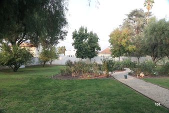 Enlarge photo 159