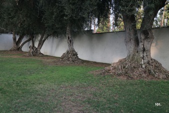 Enlarge photo 160