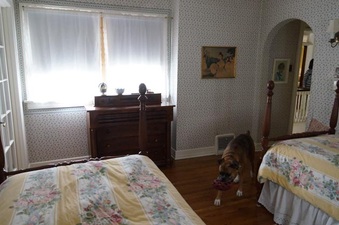 Enlarge photo 60