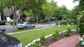Enlarge photo 50