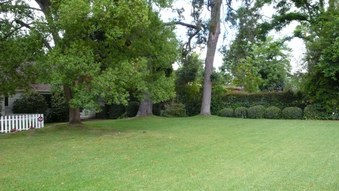 Enlarge photo 7
