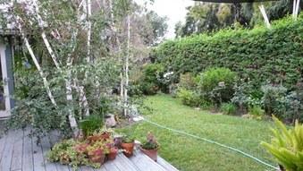 Enlarge photo 26