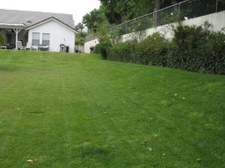 Enlarge photo 27
